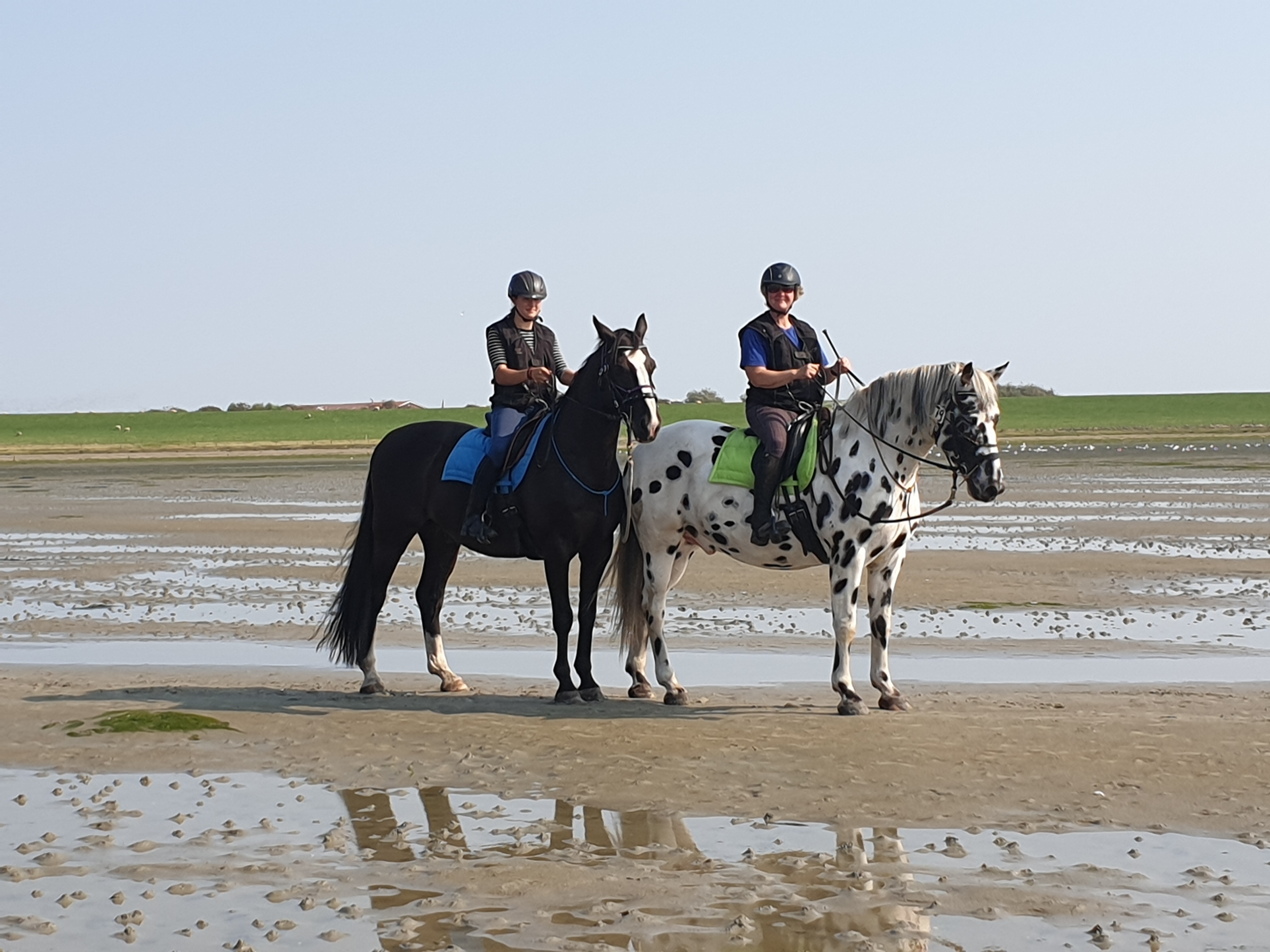 KamphofArlewatt Startseite